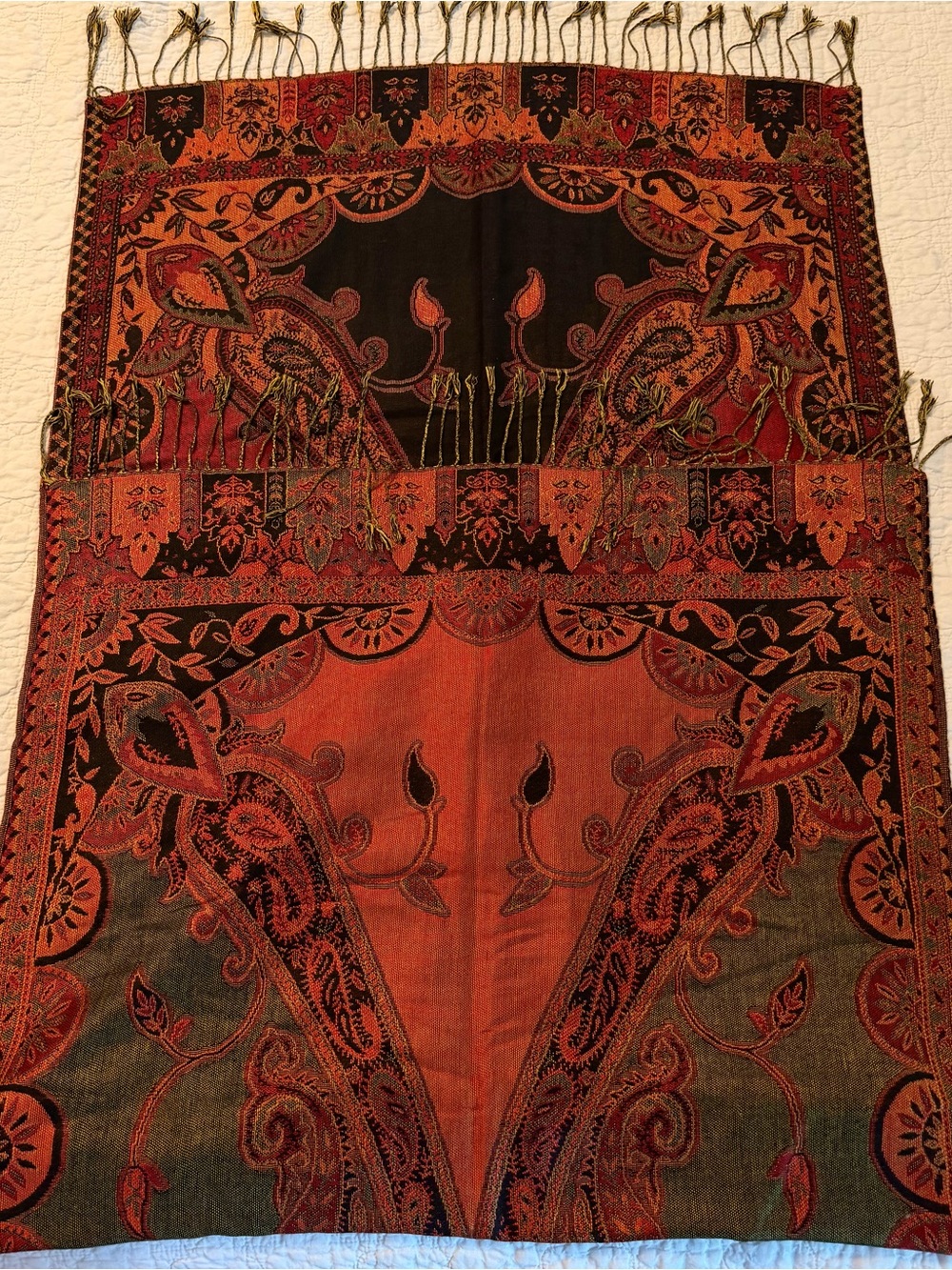 Pashmina Scarf Shawl 54 x 77 with Fringe Tassels Fall Colors Paisley Boho